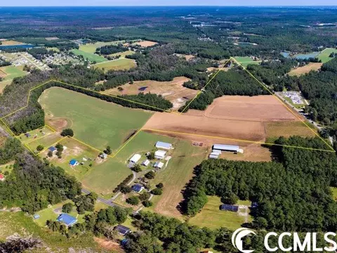 Tbd Bear Bluff Rd., Conway, SC 29526