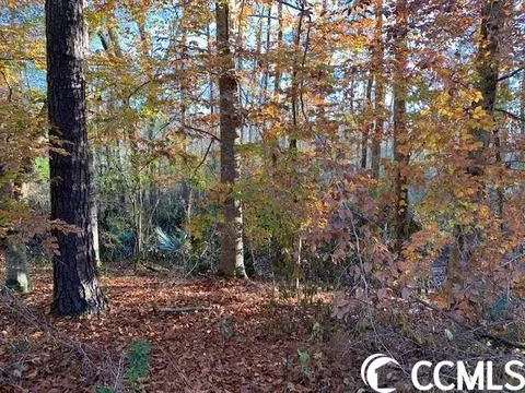 Dunbar Rd., Georgetown, SC 29440 photo 5
