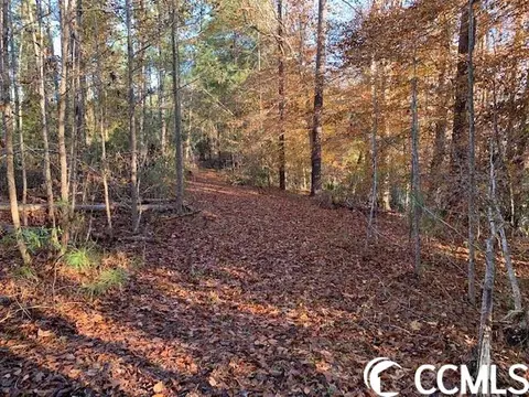 Dunbar Rd., Georgetown, SC 29440 photo 4