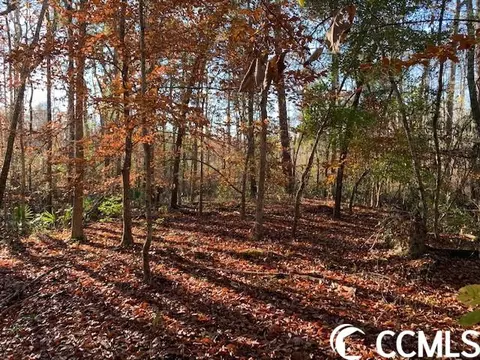 Dunbar Rd., Georgetown, SC 29440 photo 6