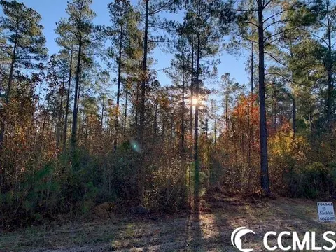 Dunbar Rd., Georgetown, SC 29440 photo 3