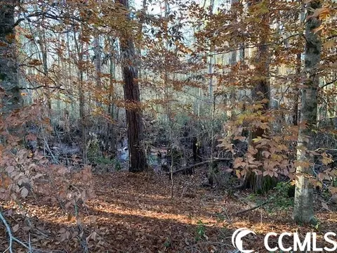 Dunbar Rd., Georgetown, SC 29440 photo 8
