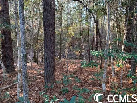 Dunbar Rd., Georgetown, SC 29440 photo 2