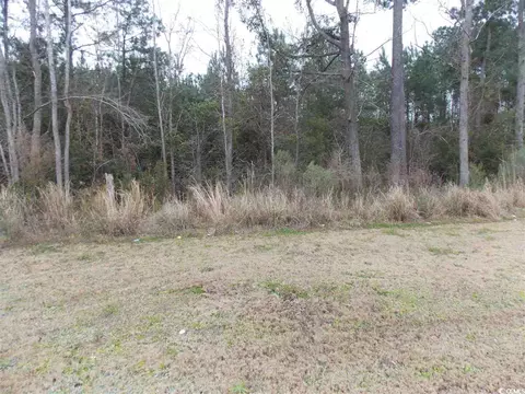 S Highway 701 South, Conway, SC 29527