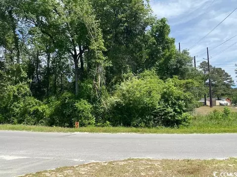 tbd Liz Ln, Conway, SC 29527
