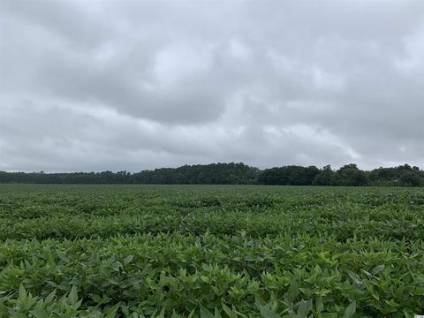 29 7 Highway 52, Salters, SC 29590