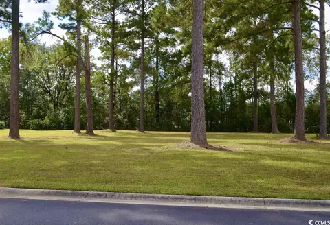144 Pottery Landing Dr, Conway, SC 29527