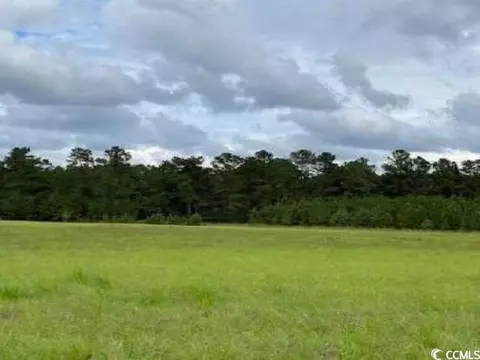 Black Branch Rd., Dillon, SC 29536