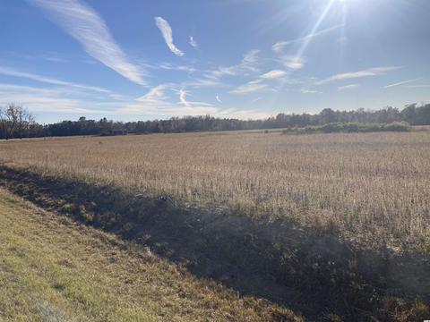 20 Ac Lot Apt 2 Pamplico Hwy, Pamplico, SC 29583