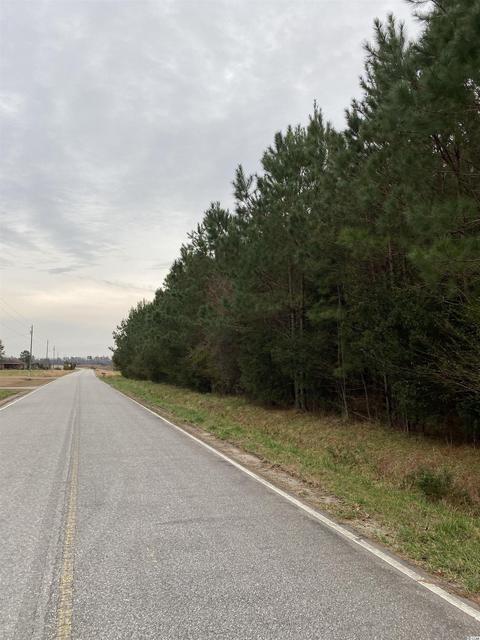 Tbd Boggy Branch Rd., Nichols, SC 29581
