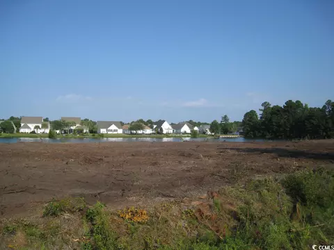 tbd Wilderness Rd, Conway, SC 29526 photo 3