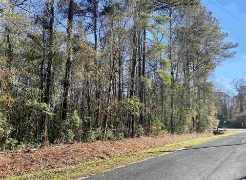 Tbd N Cox Rd., Loris, SC 29569 photo 2