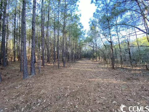Tbd Sing Ave., Conway, SC 29527 photo 2
