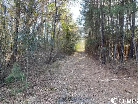Tbd Sing Ave., Conway, SC 29527