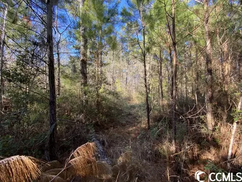 Tbd Sing Ave., Conway, SC 29527 photo 4