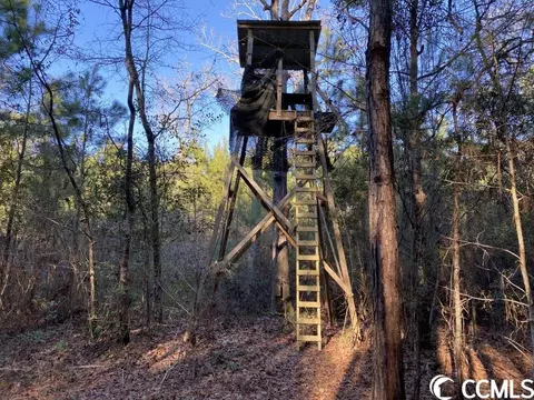 Tbd Sing Ave., Conway, SC 29527 photo 3