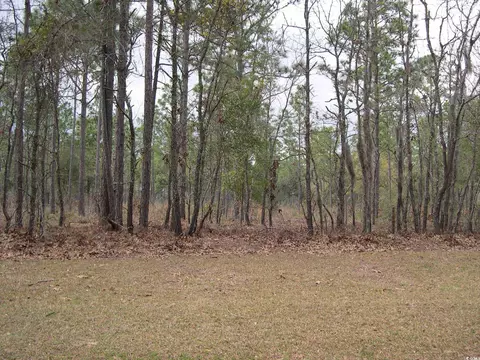 73 Pineberry Dr, Georgetown, SC 29440