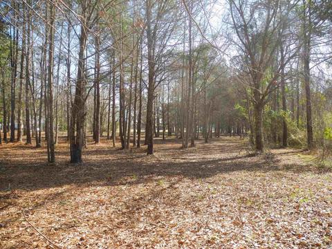 2860 Red Bluff Rd, Loris, SC 29569 photo 12
