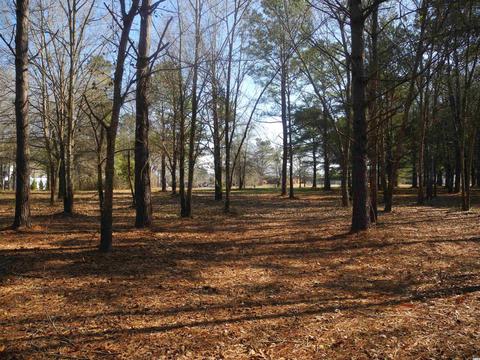 2860 Red Bluff Rd, Loris, SC 29569 photo 11