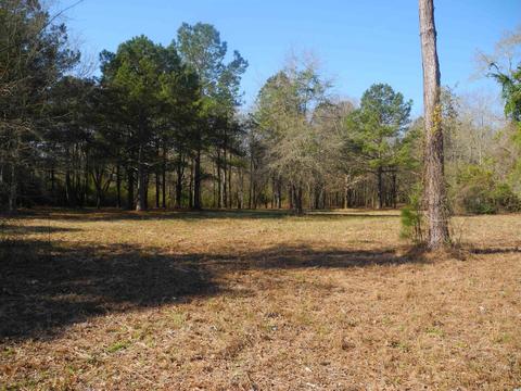 2860 Red Bluff Rd, Loris, SC 29569 photo 10