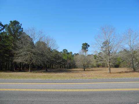 2860 Red Bluff Rd, Loris, SC 29569 photo 1