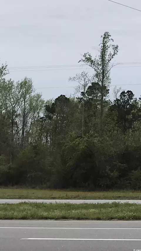 Tbd Highway 9, Loris, SC 29569 photo 2
