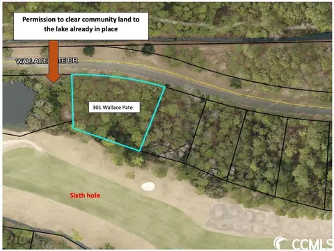 301 Wallace Pate Drive, Georgetown, SC 29440