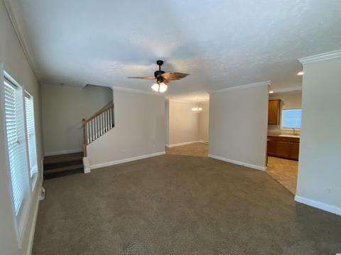 3520 Franklin St, Loris, SC 29569 photo 5
