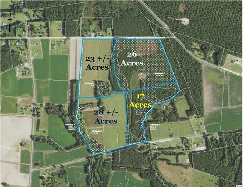 2650 Pleasant Grove Rd, Loris, SC 29569
