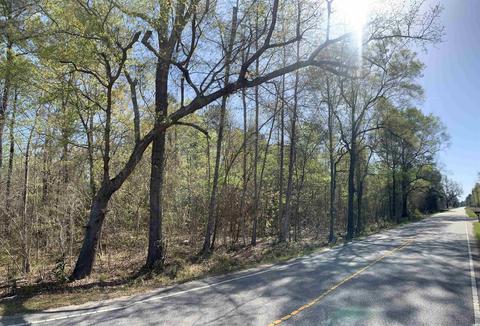 1737 N Second Neck Rd, Johnsonville, SC 29555