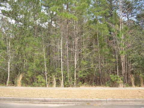 lot178 Bridge View Rd, Georgetown, SC 29440