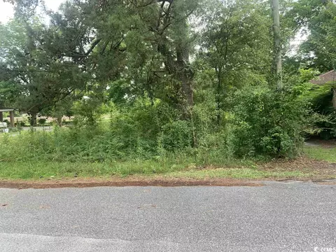 tbd Jenerette St, Loris, SC 29569 photo 3