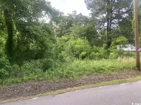 tbd Jenerette St, Loris, SC 29569 photo 5