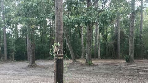 Lot 2 Highway 319, Aynor, SC 29511
