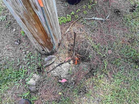 tbd Suggs St, Loris, SC 29569 photo 8