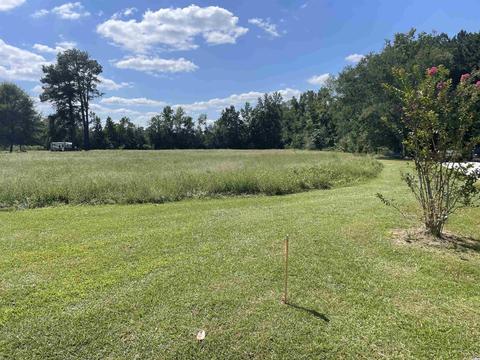 tbd Suggs St, Loris, SC 29569 photo 4