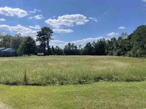 tbd Suggs St, Loris, SC 29569 photo 6