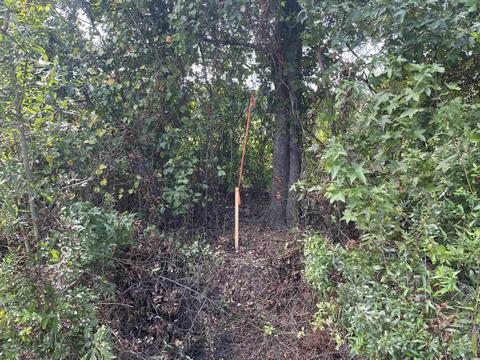 tbd Suggs St, Loris, SC 29569 photo 11
