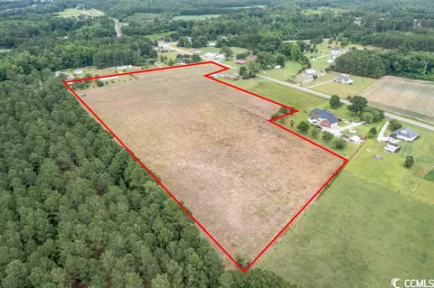 Tbd Daisy Rd., Loris, SC 29569 photo 13