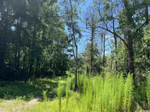 287 Black Gum Rd, Pawleys Island, SC 29585