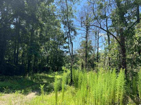 287 Black Gum Rd, Pawleys Island, SC 29585