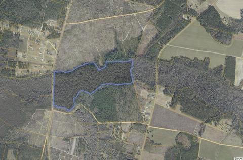 Tbd N Nichols Hwy., Nichols, SC 29581