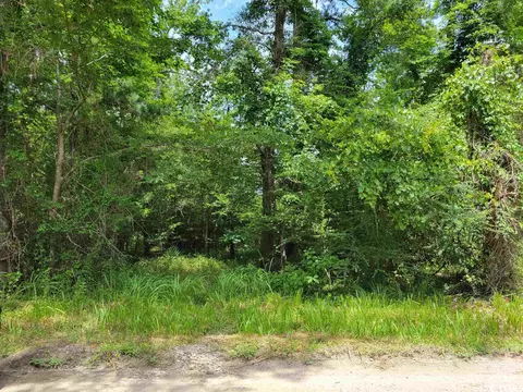 tbd Thomas Rd, Conway, SC 29526 photo 5