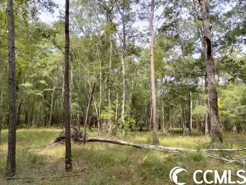 tbd Thomas Rd, Conway, SC 29526 photo 17