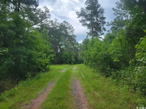 tbd Thomas Rd, Conway, SC 29526 photo 3