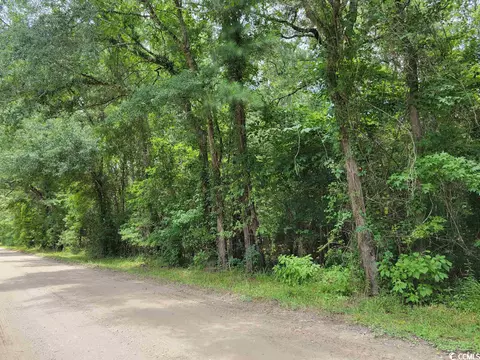 tbd Thomas Rd, Conway, SC 29526 photo 7