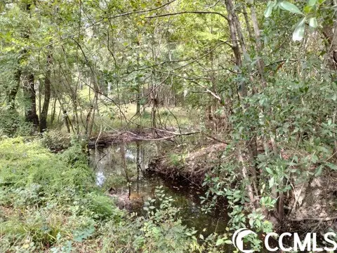 tbd Thomas Rd, Conway, SC 29526 photo 12