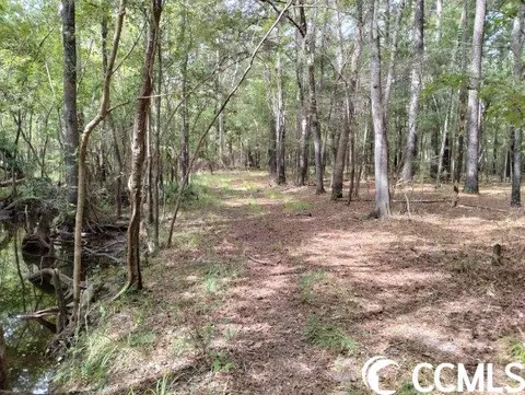 tbd Thomas Rd, Conway, SC 29526 photo 13