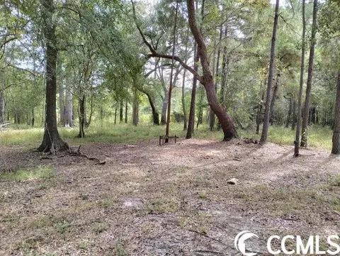 tbd Thomas Rd, Conway, SC 29526 photo 14