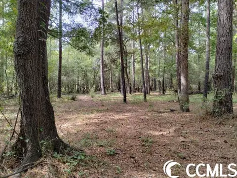 tbd Thomas Rd, Conway, SC 29526 photo 20